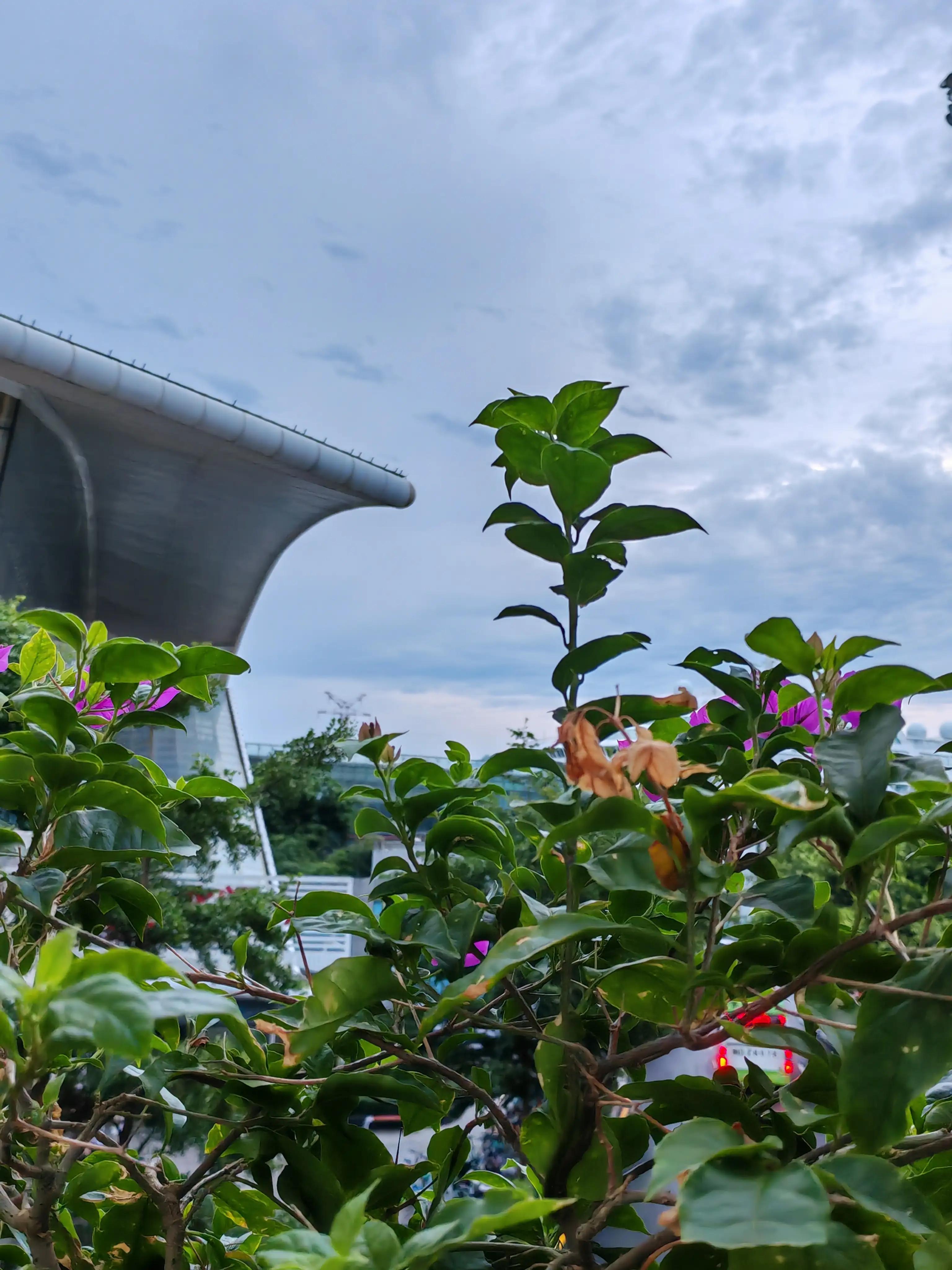 美发真的赚钱吗,美发赚钱还是小吃赚钱