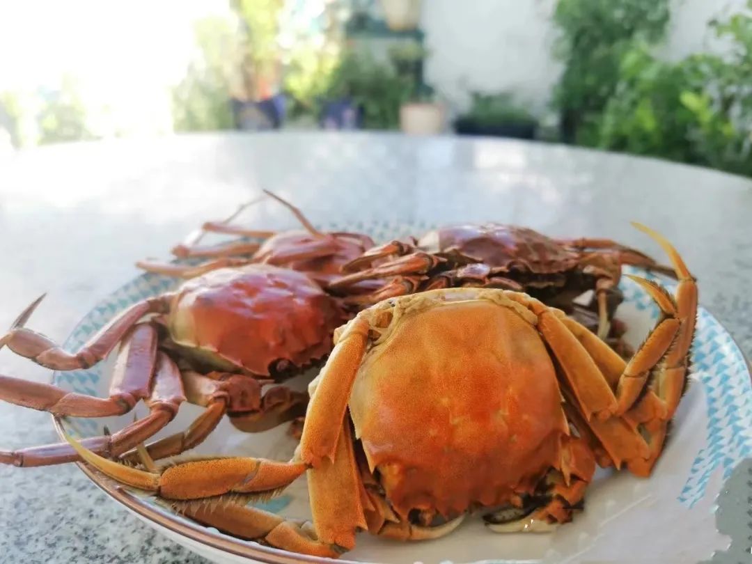 一个县城房价为什么这么高,房价最低的中国海边小县城