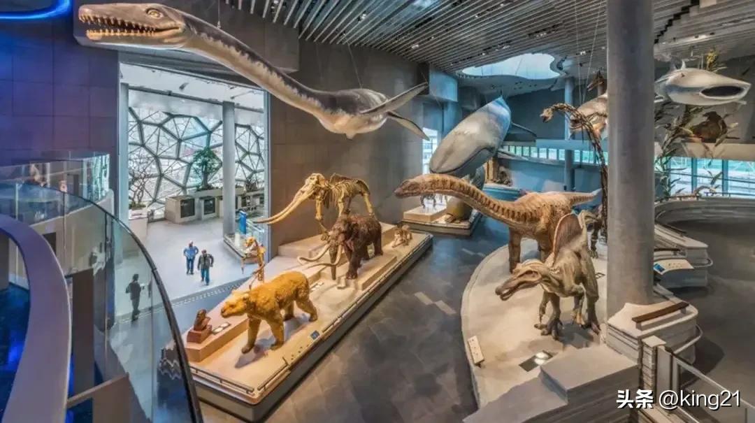 上海著名景点地铁站,上海地铁站景点介绍