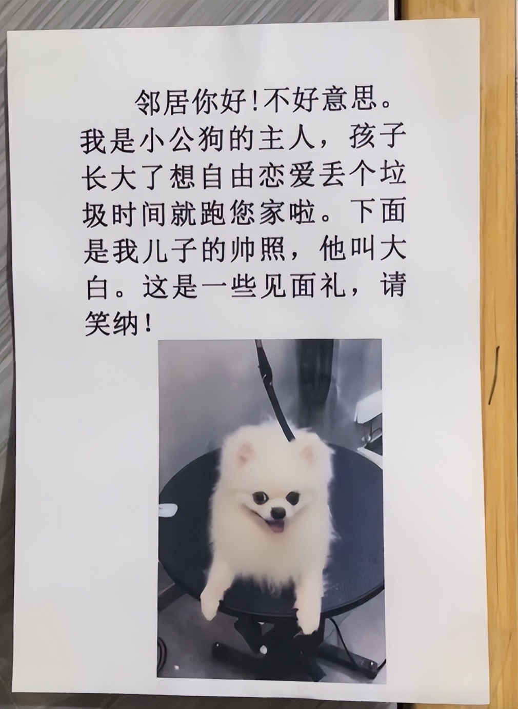 小姐姐和邻居小狗发展迅速，几天后竟然都“滚床单”啦~