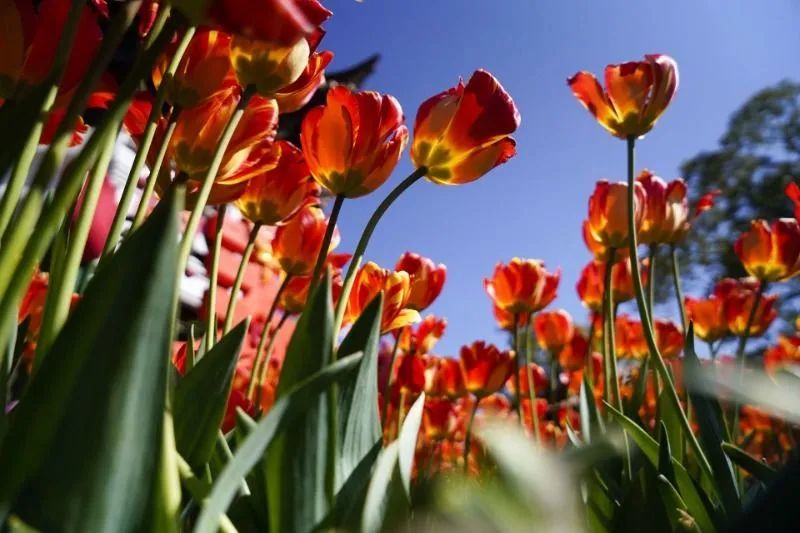 迈开脚步看风景别辜负昆明好风光,带你看云南昆明美景