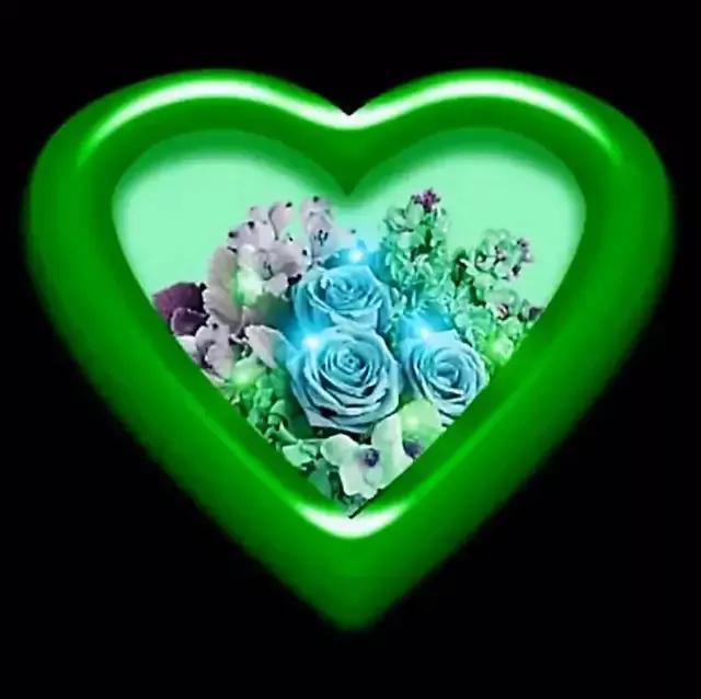 手拿心形图片,心形图片大全