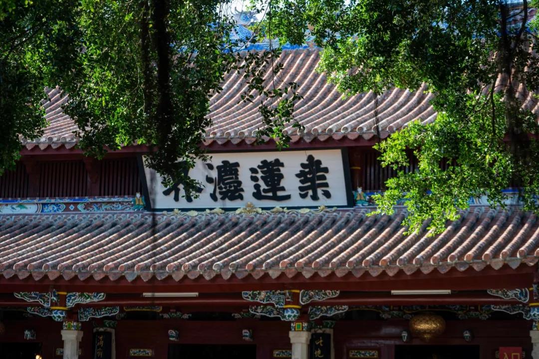 收好这份旅行攻略,最详细划算的旅行攻略