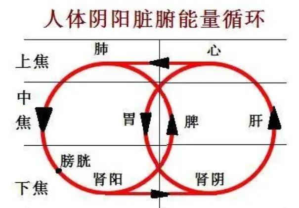 头道汤引火归元调理身体,阴阳颠倒怎么治