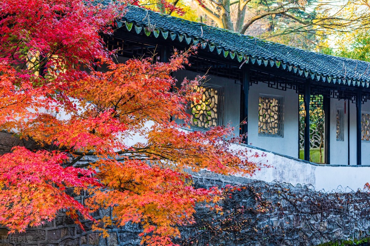 秋天的苏州必去的景点,苏州秋天小众景点推荐