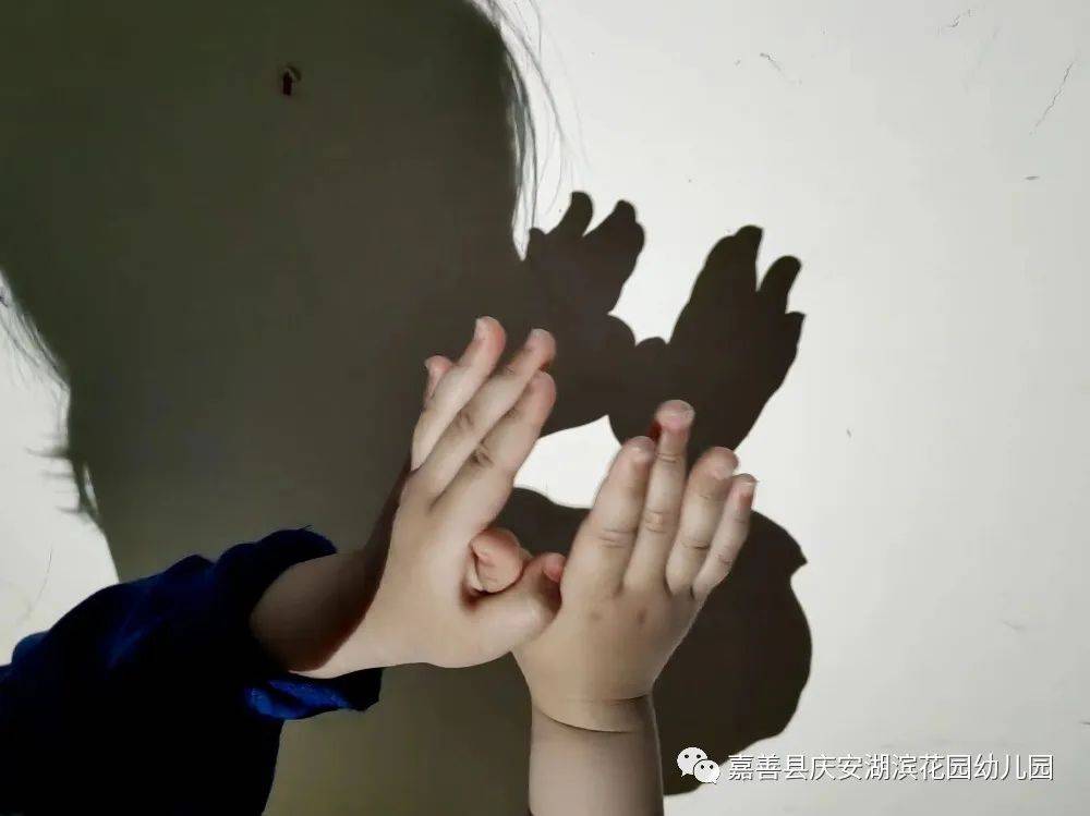 小手的探秘之旅|嘉善县庆安湖滨花园幼儿园小班组课程故事