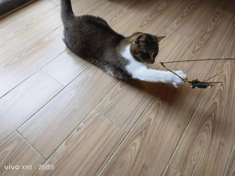 vivox90目前跑分,vivox90系列跑分