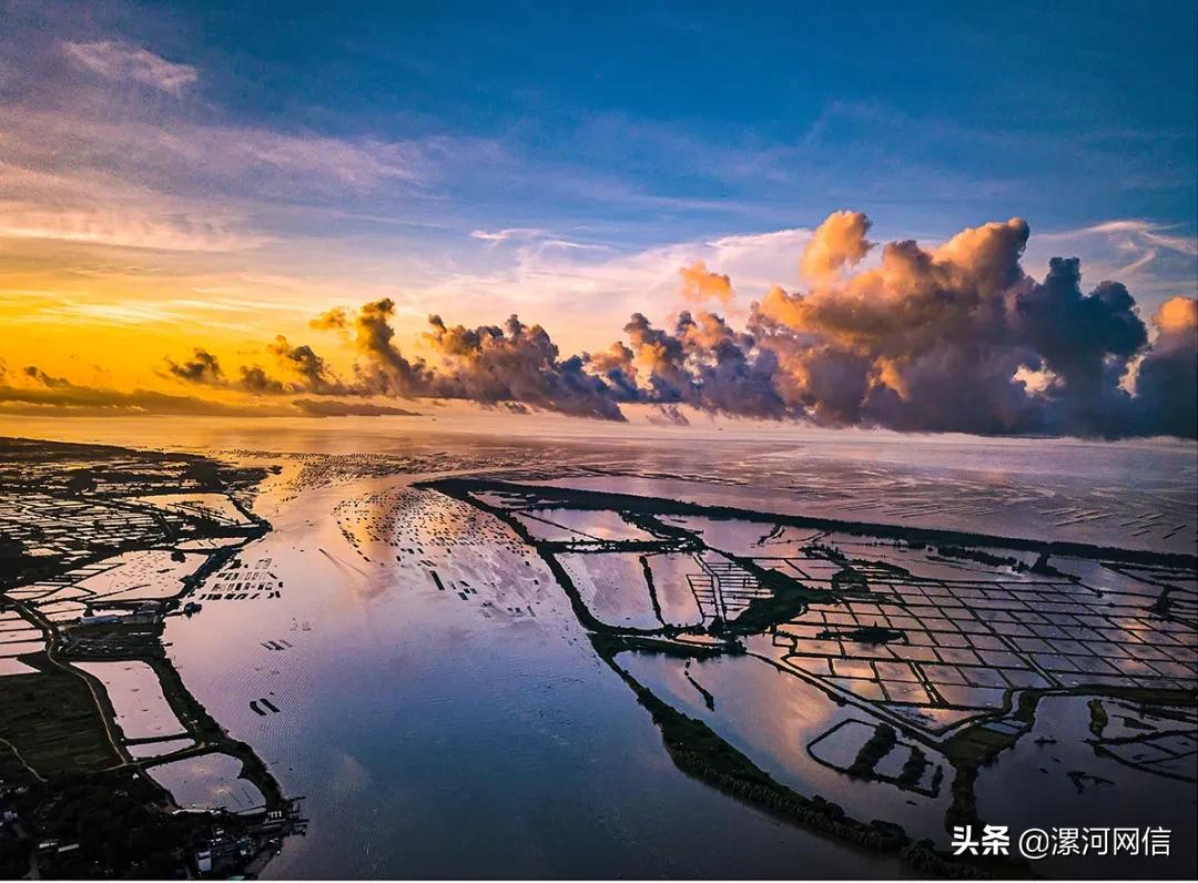 漯河市近几年的书画展,漯河市书画展开幕式