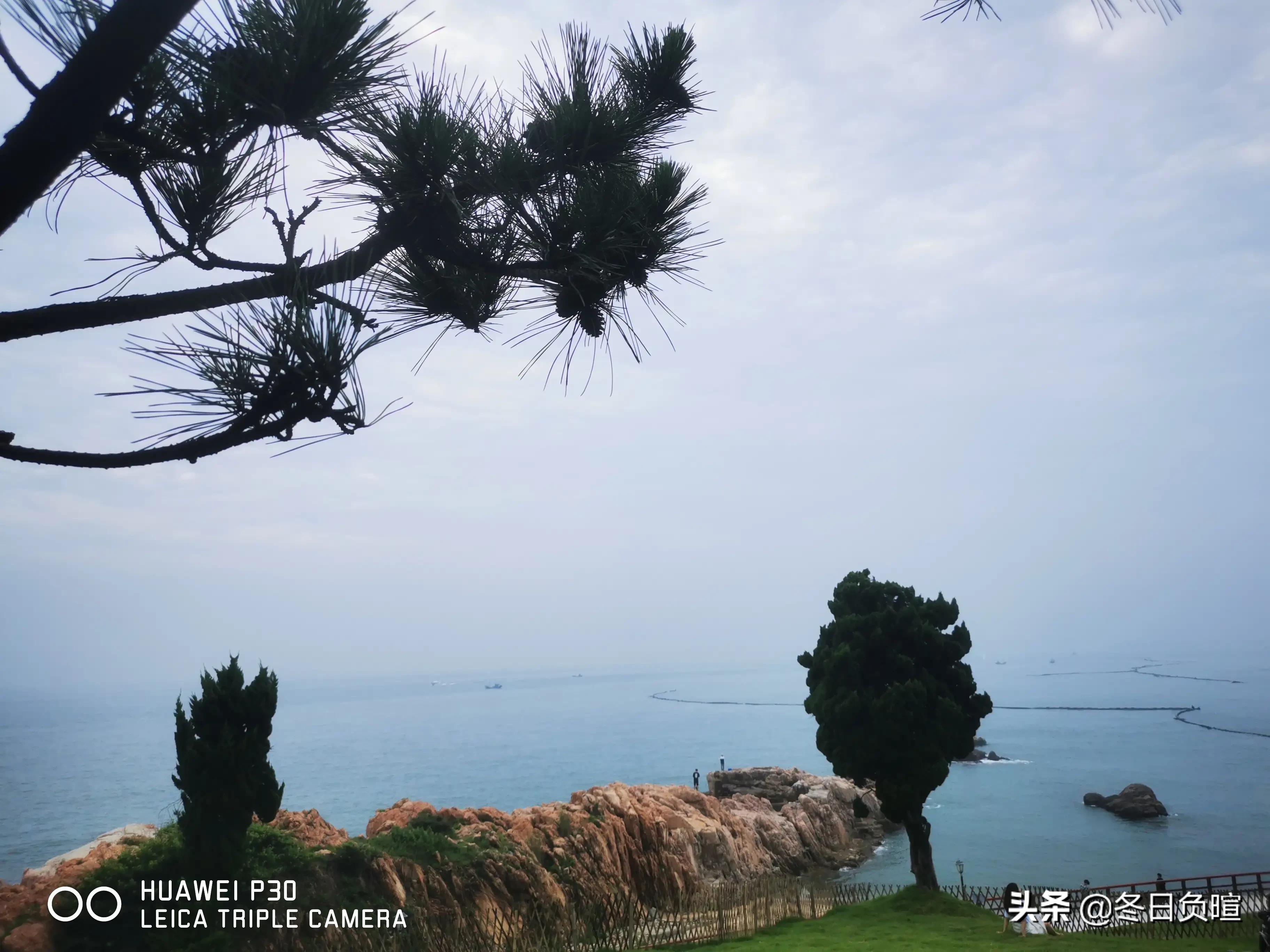 咏兰诗完整版原唱,咏兰诗五绝100首