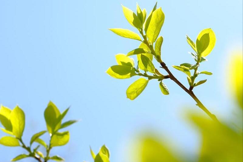 姐姐要和欺凌我的人结婚，母亲的做法令她悔恨终身，后来活成笑话