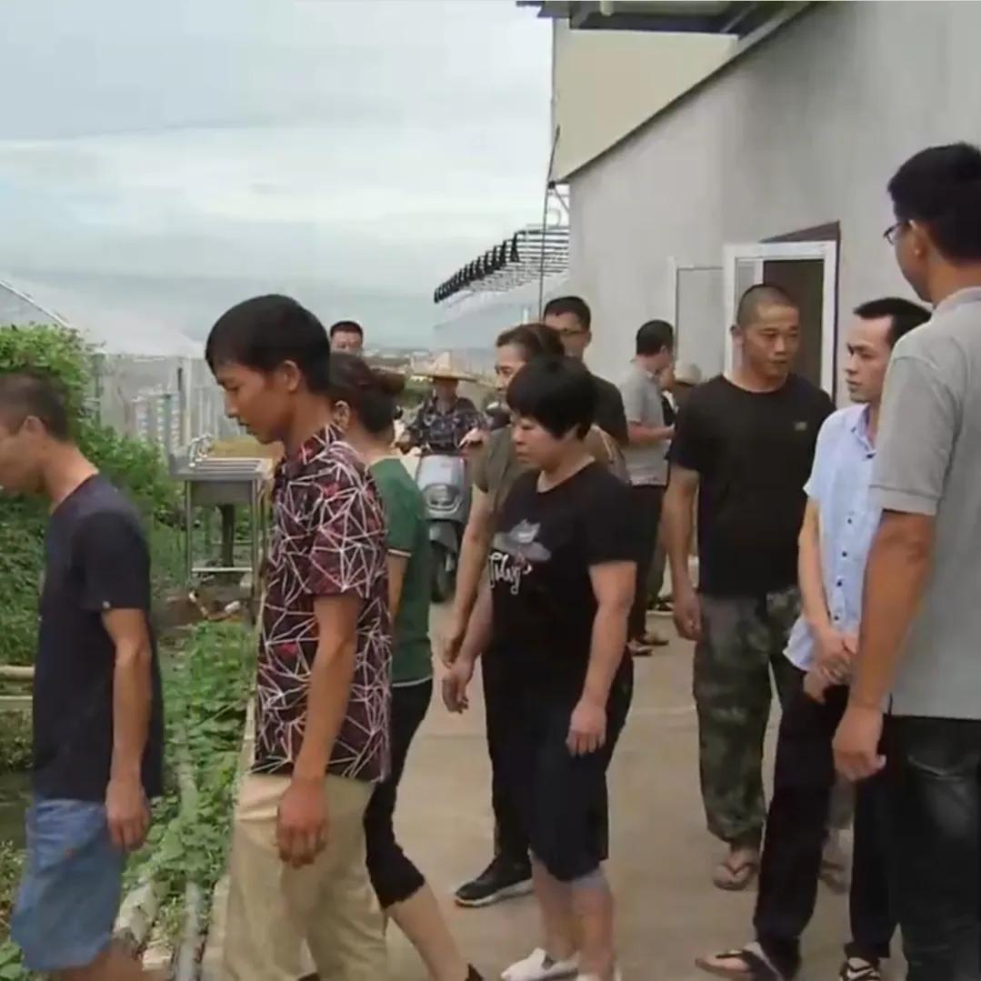 湖南小伙承包五千亩四年赚上千万,90后小伙承包15亩果园