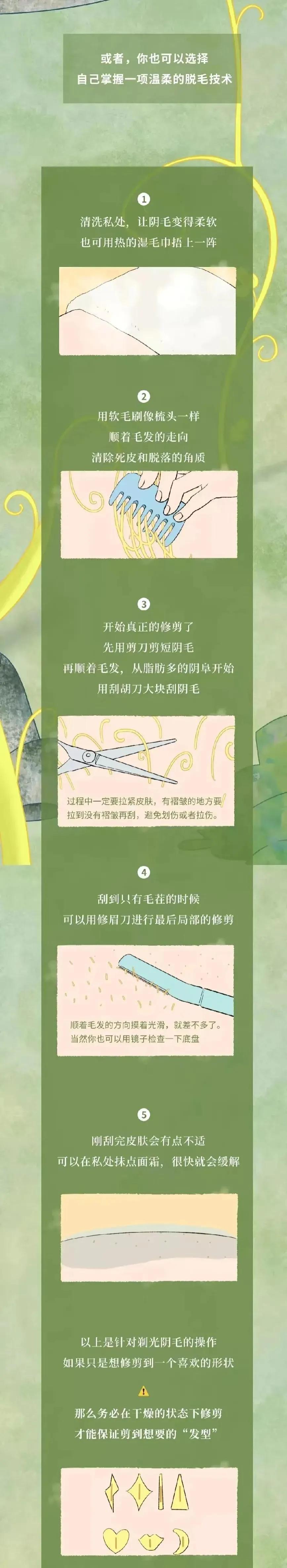 人类阴毛从出生到脱落的全过程