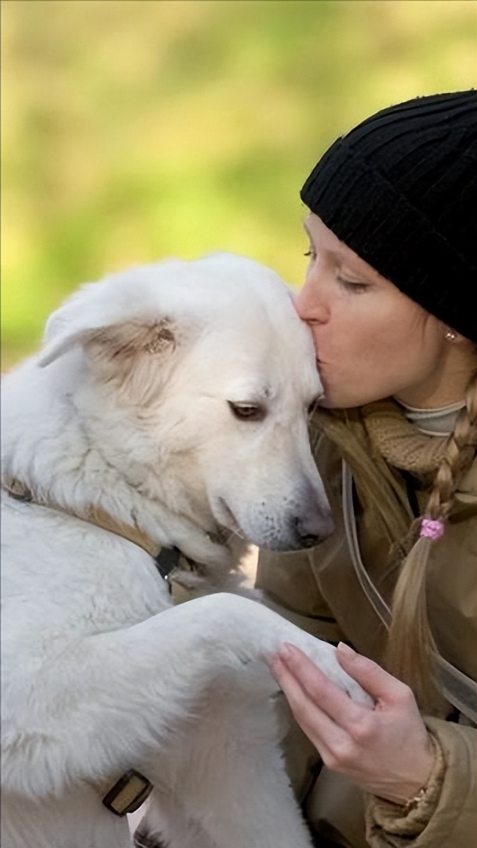 这六种富贵狗谁养谁发财,什么狗最好养又听话命长