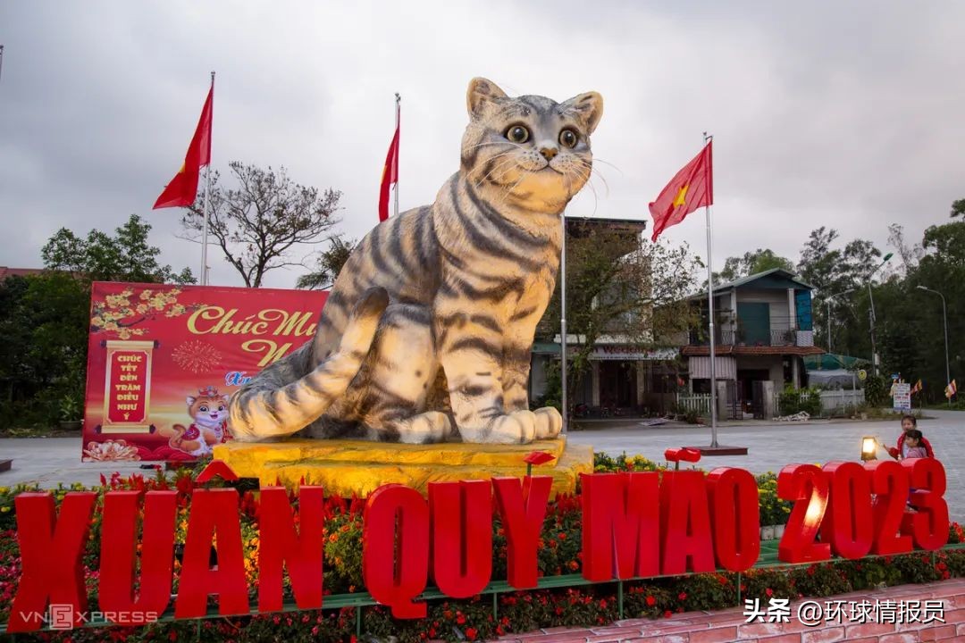 猫也能混进十二生肖？越南为什么不过兔年，而是过猫年？