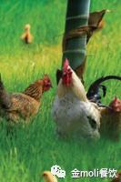 会员风采（22）|南京一撇一捺餐饮管理有限公司专致专注，品质服务