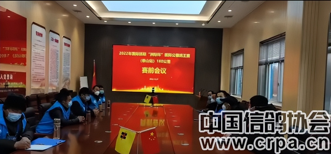 今年鸽子比赛归巢率,泰山国际赛鸽公棚500公里归巢数据