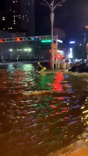 垃圾桶搞笑视频gif,搞笑gif段子塑料袋成精了