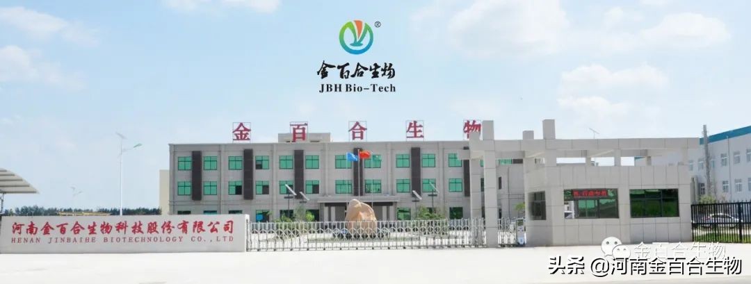 丁酸梭菌修复肠道,丁酸梭菌类似的肠道益生菌