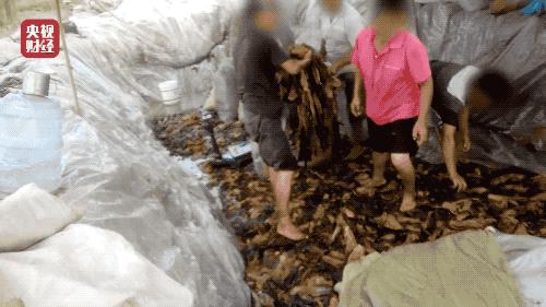 央视315晚会老坛酸菜,315晚会曝光老坛酸菜