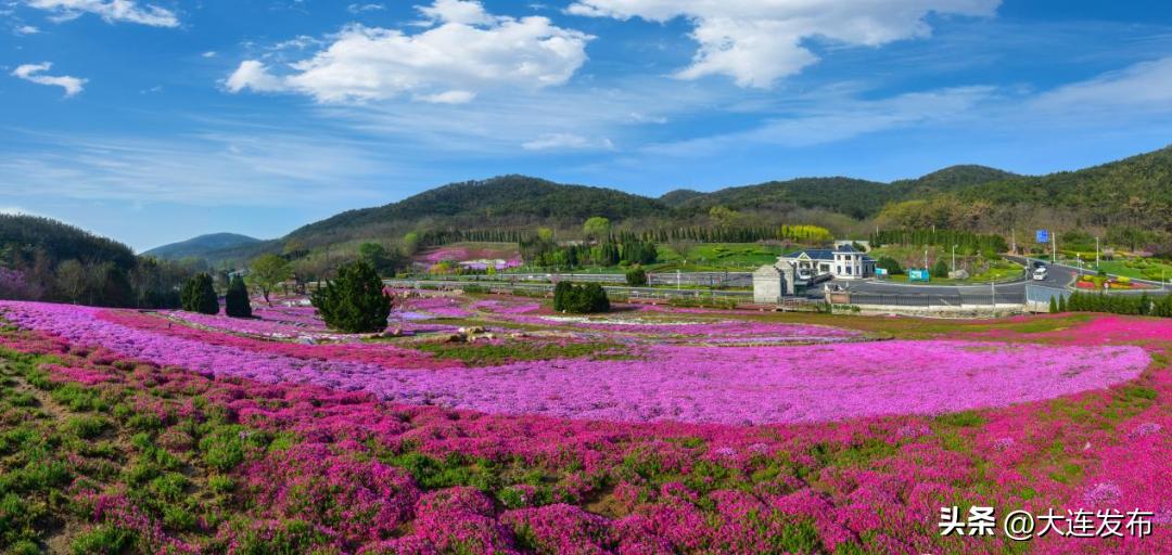 大连中山区打卡的景点,大连值得去的景点推荐