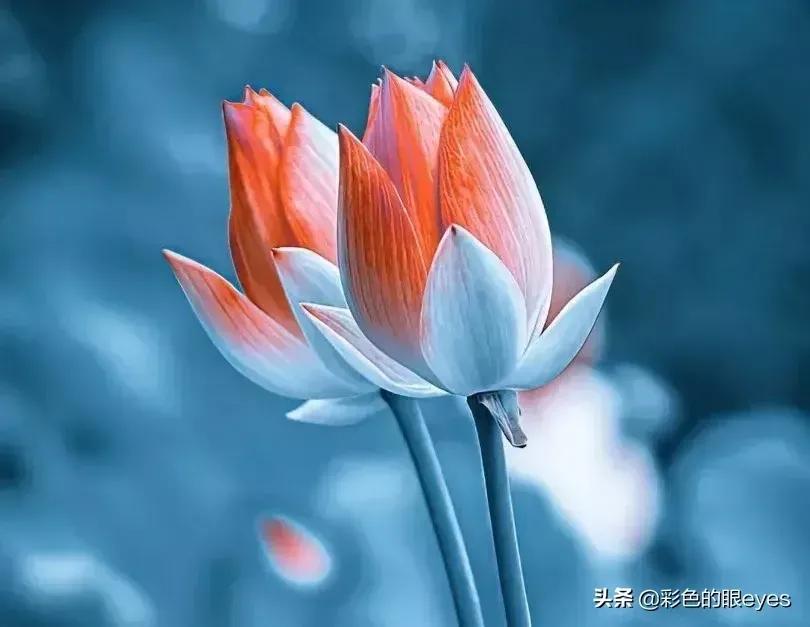 55岁女人退休后干点什么好,55岁女人做什么挣钱