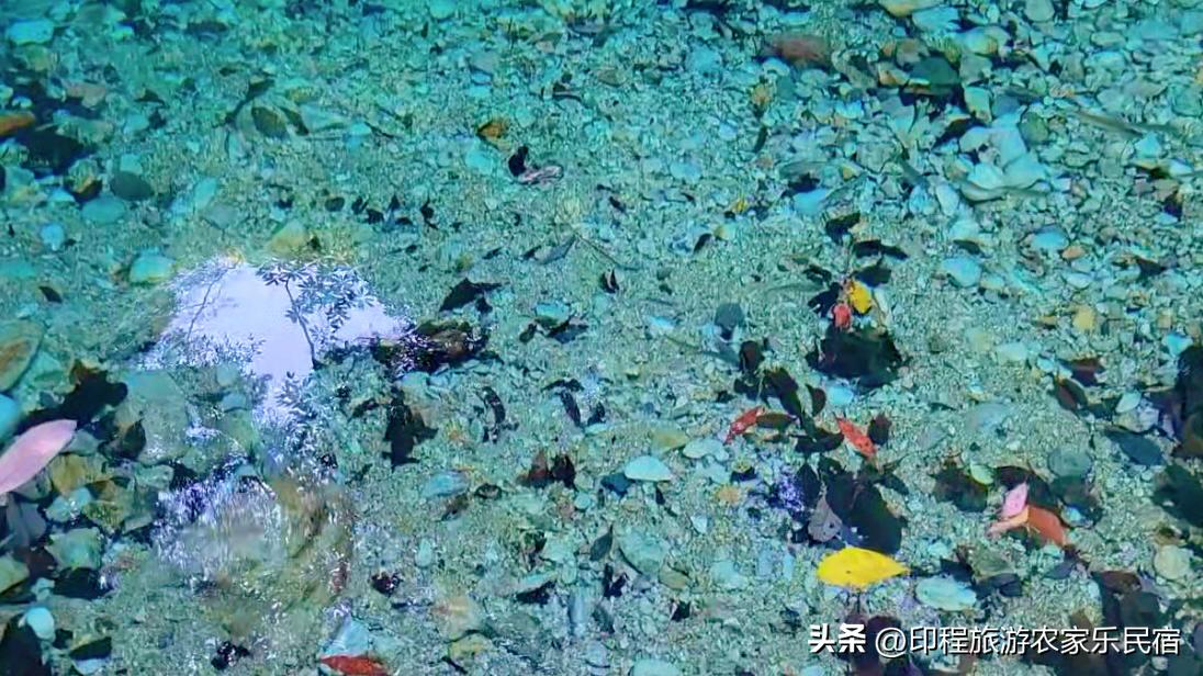 浙江高山避暑农家乐,浙江避暑最好包吃住的农家乐推荐