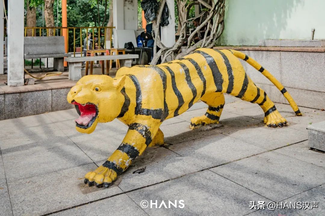 我问了每个人一个问题：你是水果湖毕业的吗？