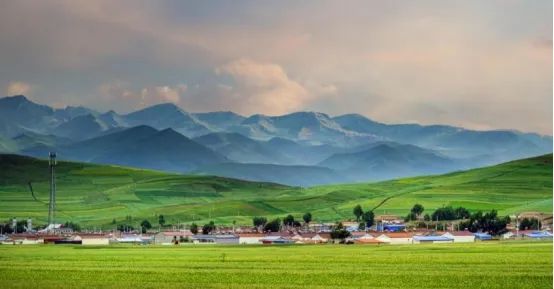 农村未来10年预言,农村未来10年会有什么改变