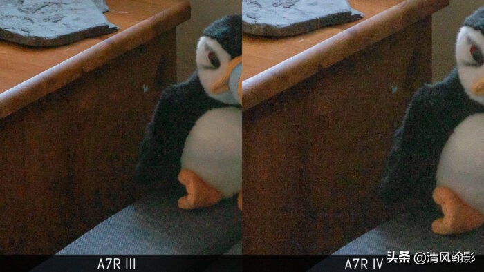 拍鸟什么微单相机合适,索尼a7r4深度拍摄感受