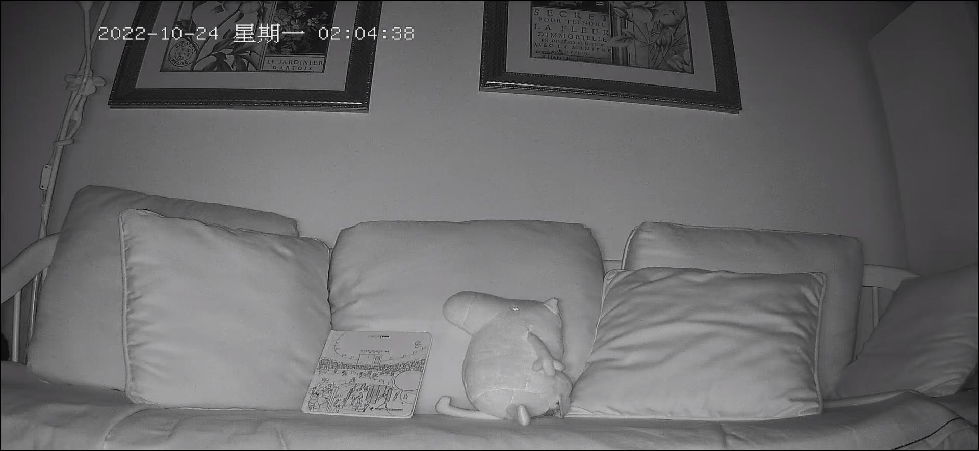 家用摄像头哪款最好用,家用摄像头哪款最实用