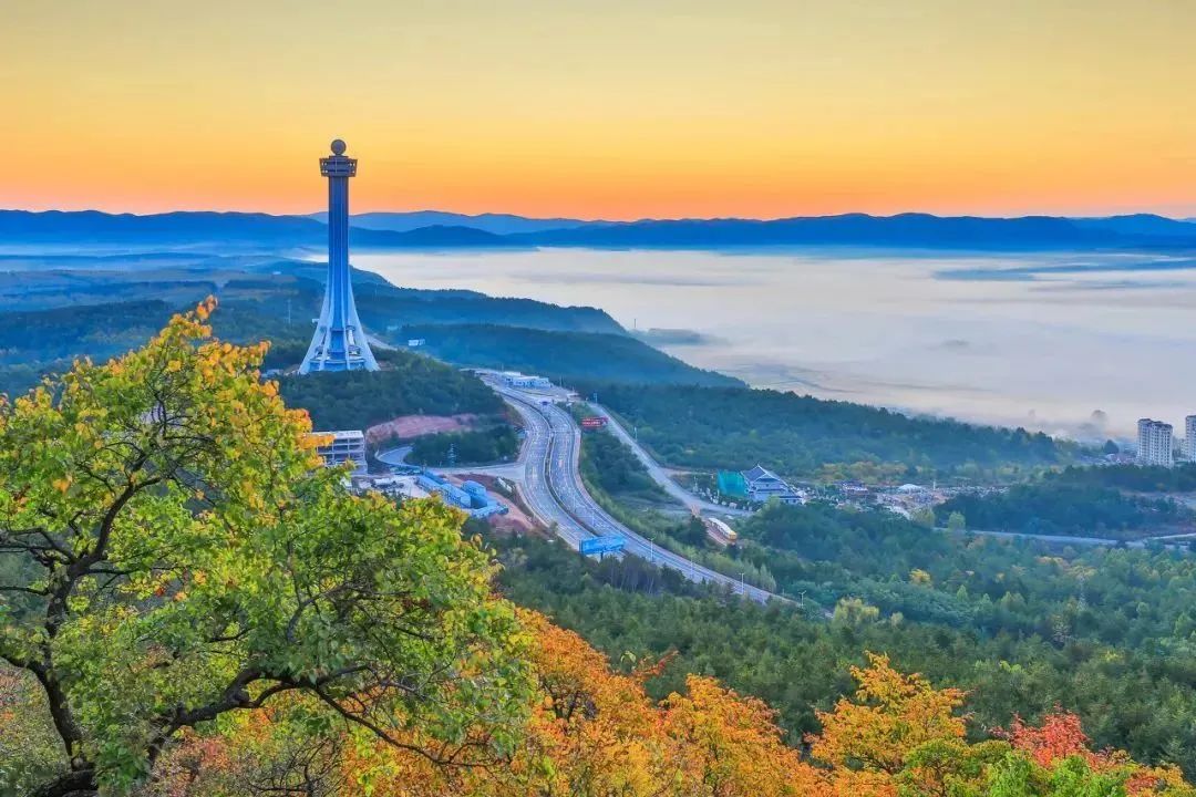 美好的夏天一切都在盛放,一切都从这个美好的夏天开始