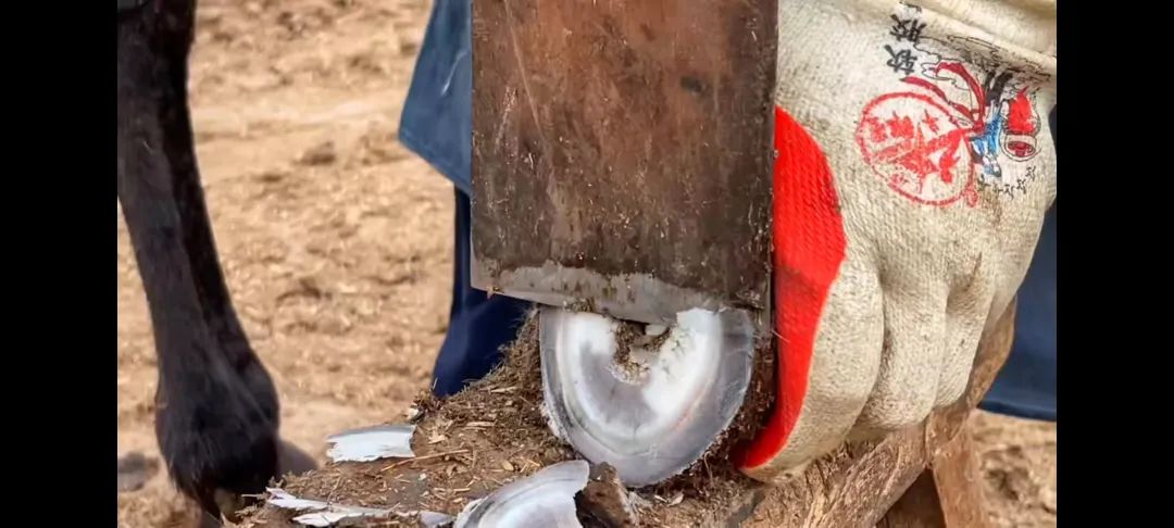 什么样的哄睡更容易入眠,免费哄睡的正确方法