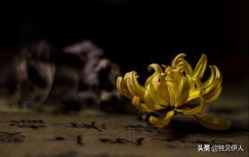 王安石写诗有什么风格,王安石30岁当宰相是前无古人吗