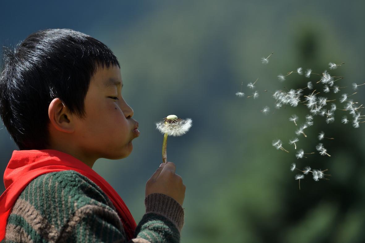 公益活动走进边远小学,拼多多为你读书公益行动走进疆藏