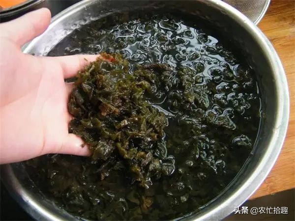 农村下雨后的野菜,下雨野外捡野菜视频