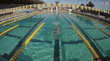 仰泳换自由泳的切换分解动作图解,混合泳仰泳后滚翻动作要领