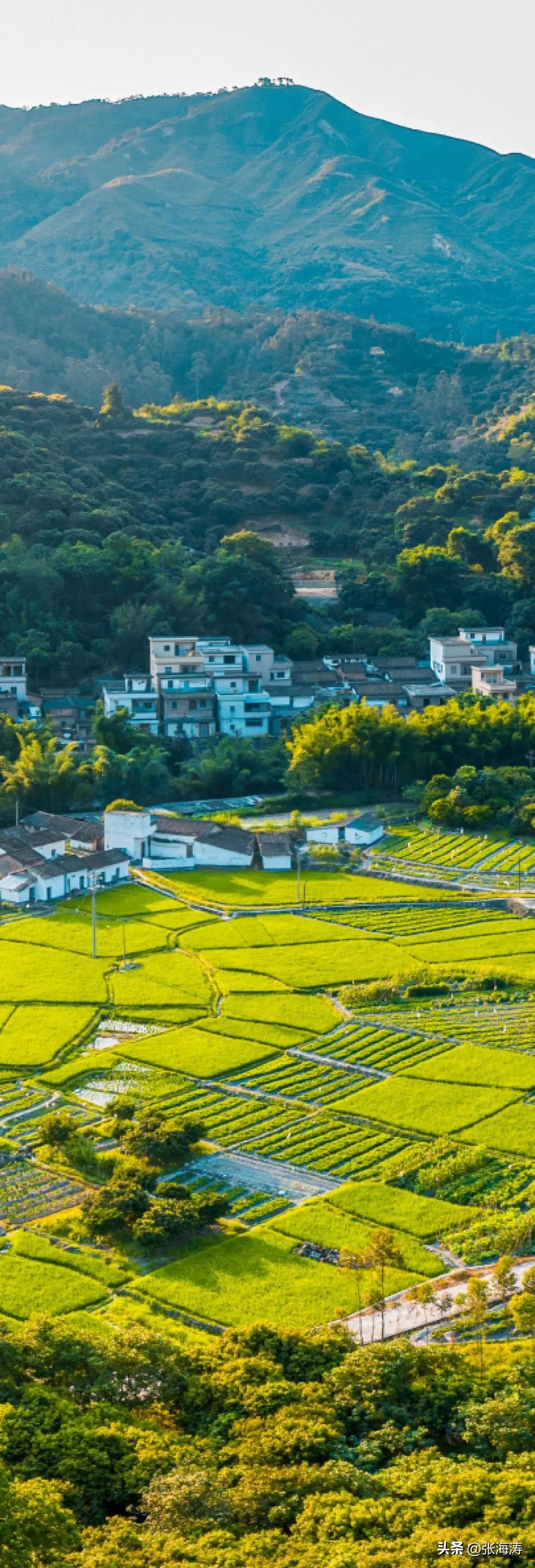 湖北园林绿化工程施工,湖北园林绿化景观设计施工养护