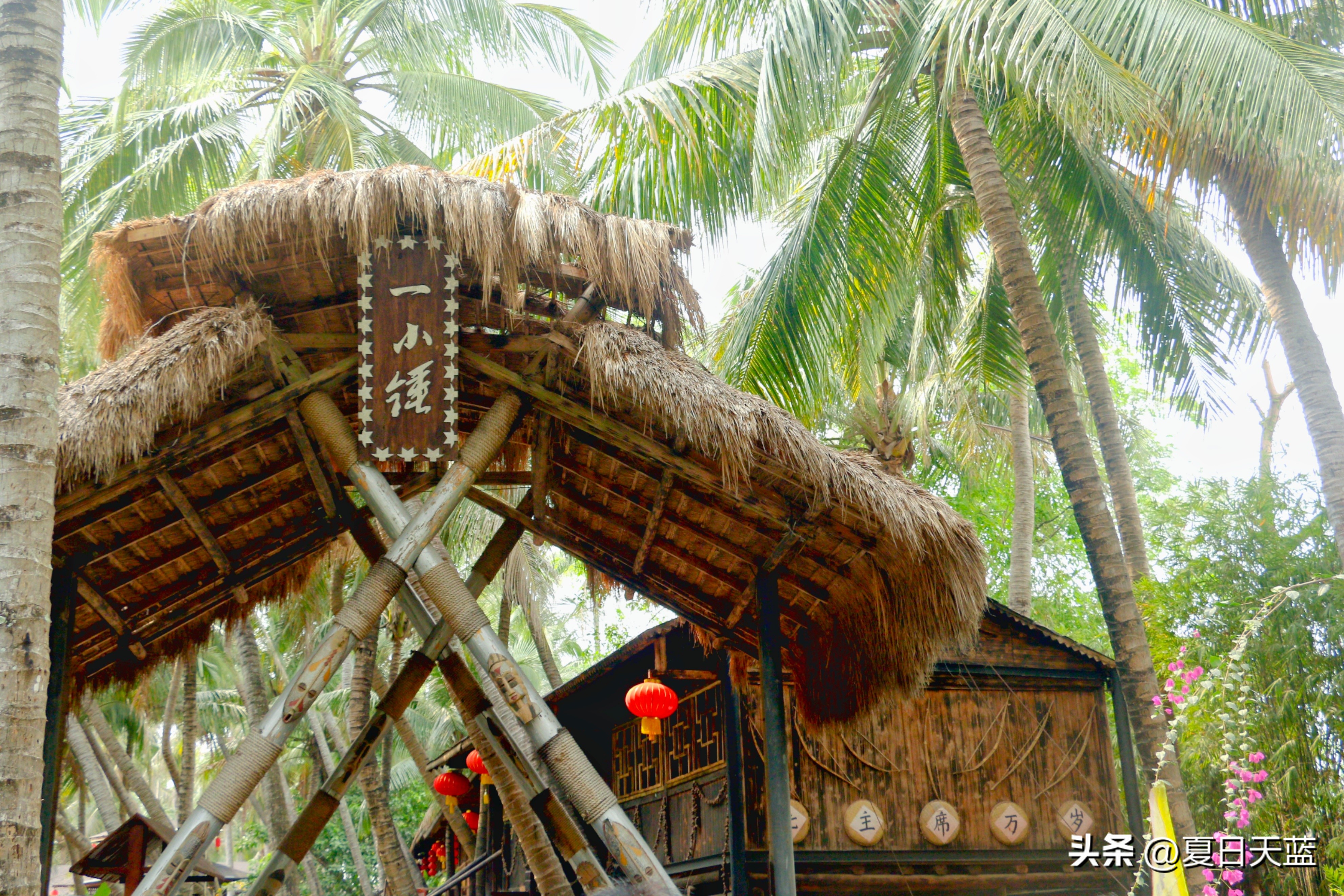 三亚度假最佳选择,三亚度假正确打开方式