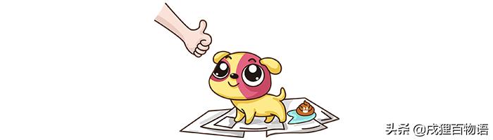 狗狗在狗窝乱拉屎尿如何解决,狗狗在笼子里乱翻窝