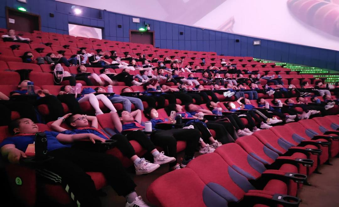 少先队活动课我是小小石榴籽,小小石榴籽少先队活动案例