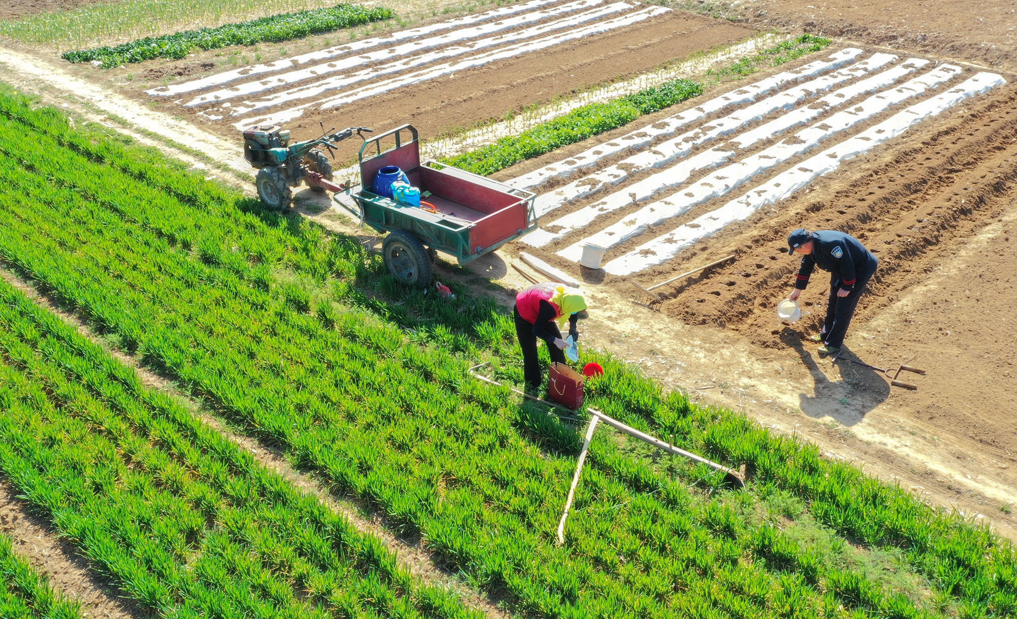 “云”上摄影展丨《徐村*光春**美人勤春来早》
