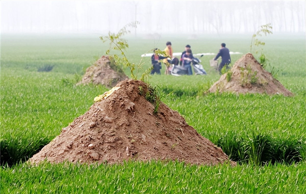 听说清明当天不能扫墓是什么意思,清明不过岁的意思是什么