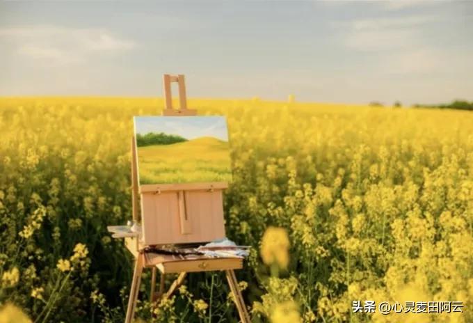 生活随笔原创作文,生活随笔日常琐事