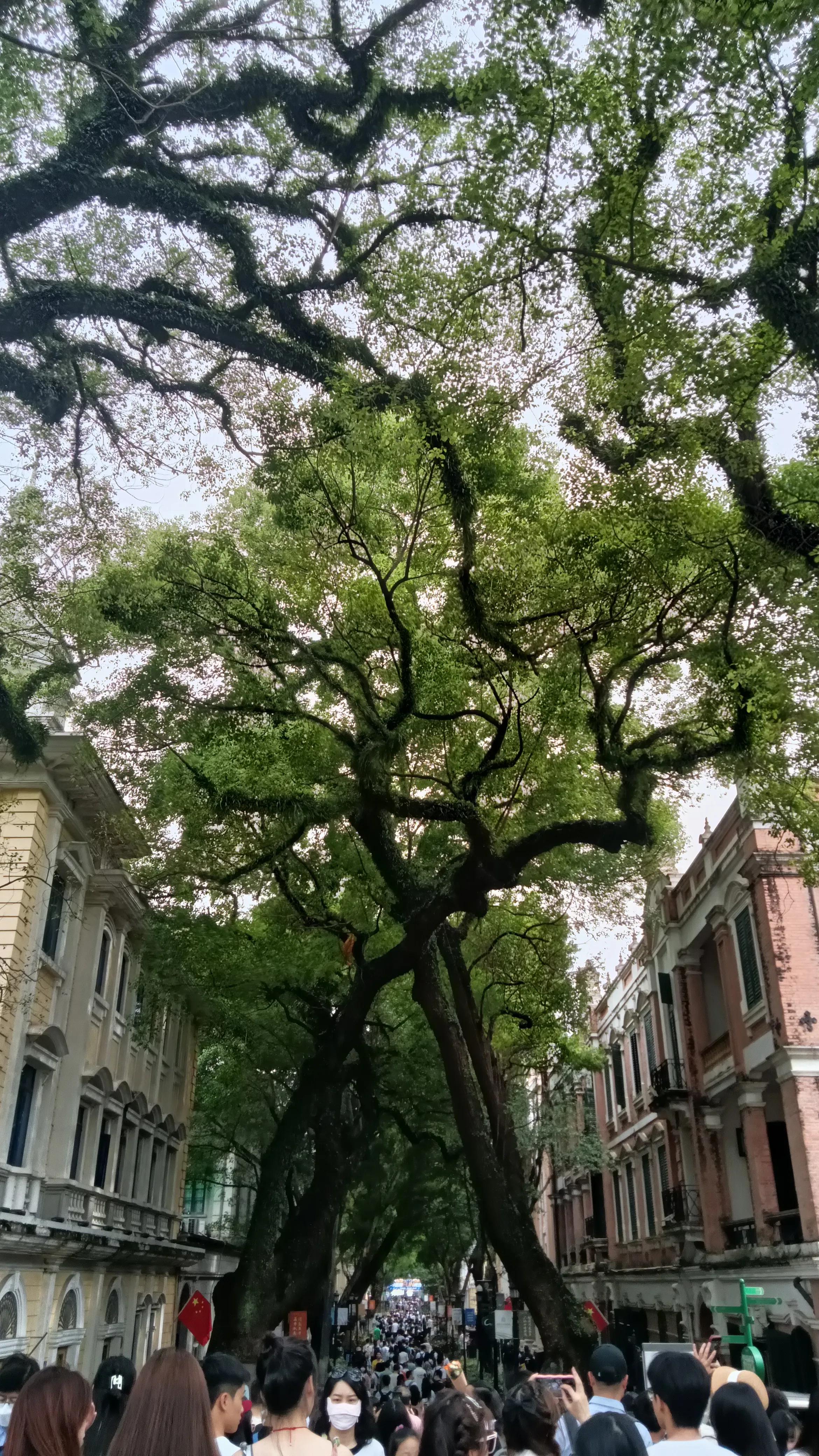 骞垮窞鏃呮父鎺ㄨ崘鏀荤暐,骞垮窞鏃呮父鎺ㄨ崘缇庨