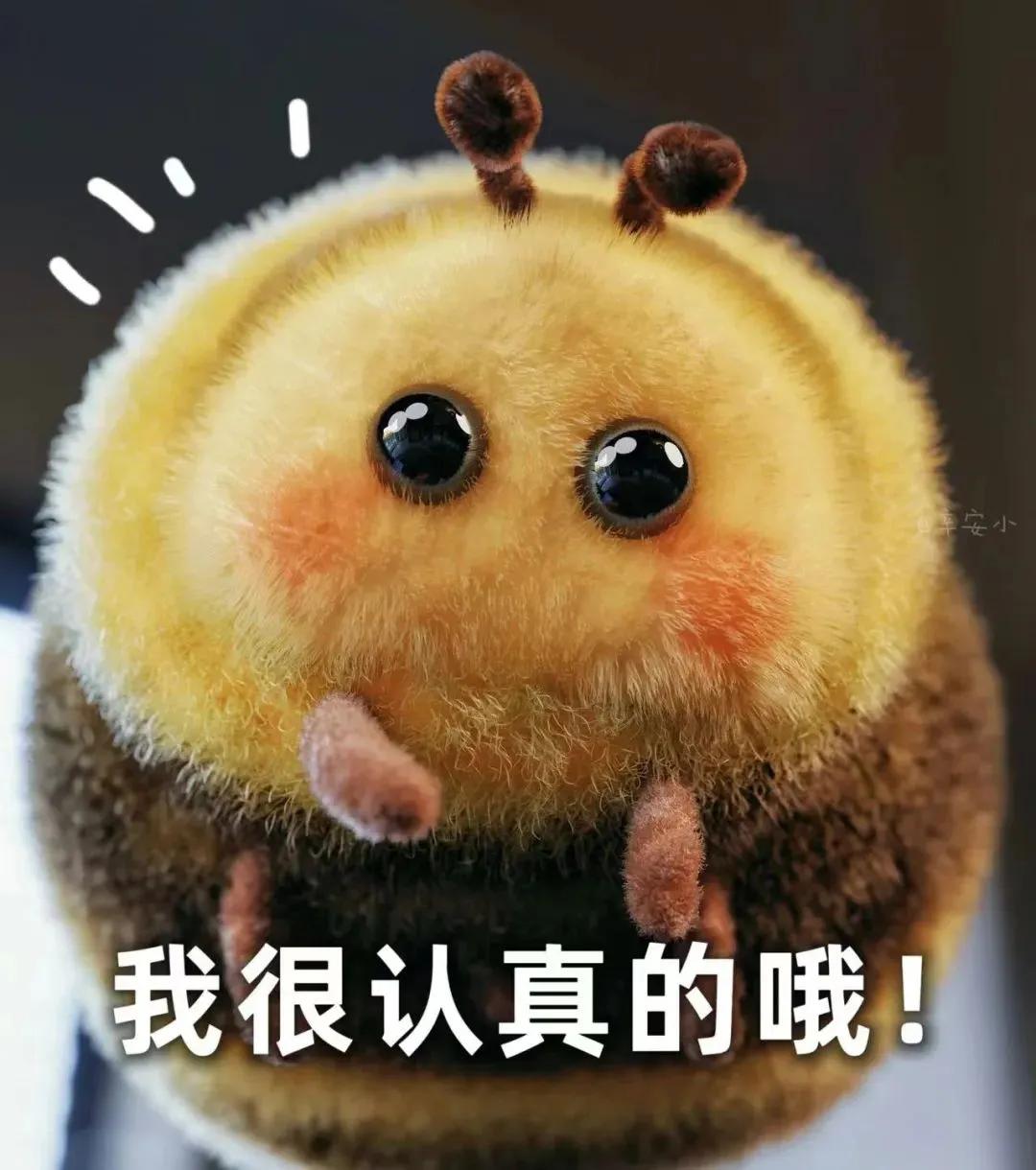 蜜蜂bee表情包,肿脸蜜蜂表情包