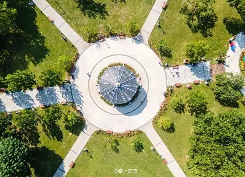 天津和平药业有限公司,天津和平有限公司