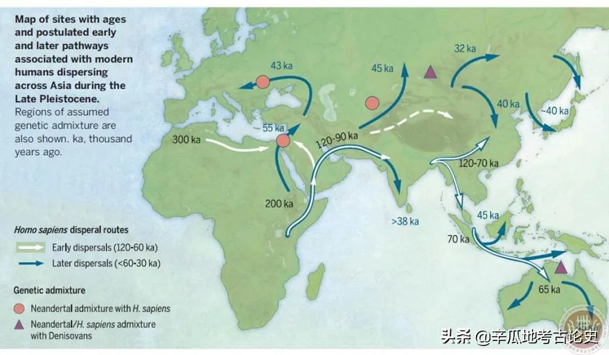 李锋的所有视频,李锋百科简介