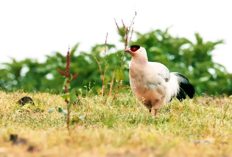 东莞车模怒斥摄影师,东莞车模怒斥摄影师的车模是谁