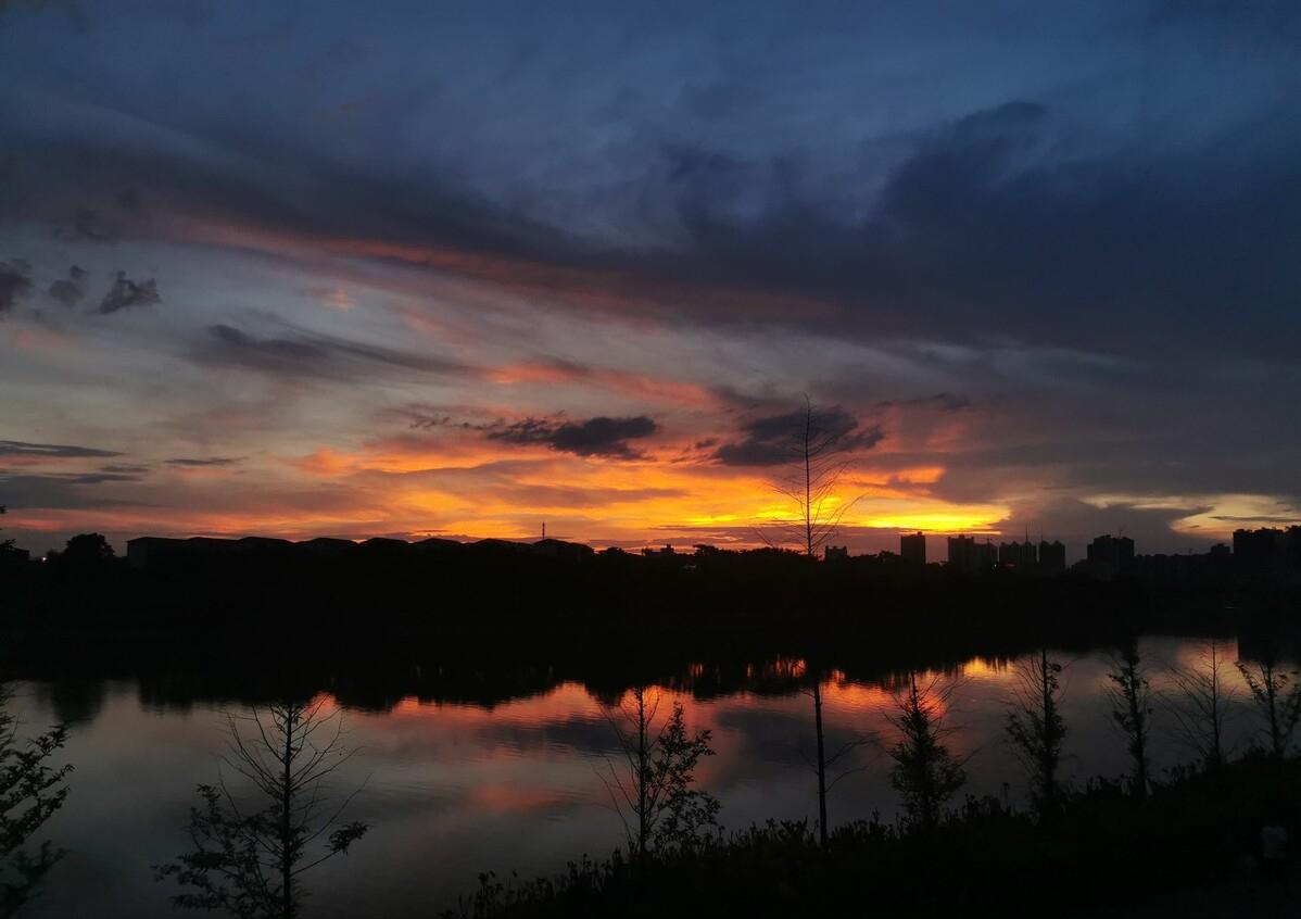 品名家著作，游生命之旅——《史铁生散文精选》读书笔记