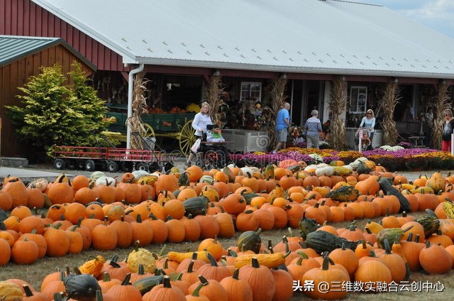 新型家庭农场的致富路,家庭农场的发展红利又将迎来高潮